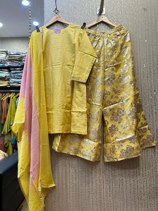 Designer Indo Western 2025 By Kalpanas Creations 172